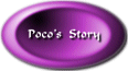 Button - Poco's Story
